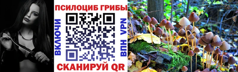 как найти закладки Туринск маркетплейс клад Галлюциногенные грибы Cubensis
